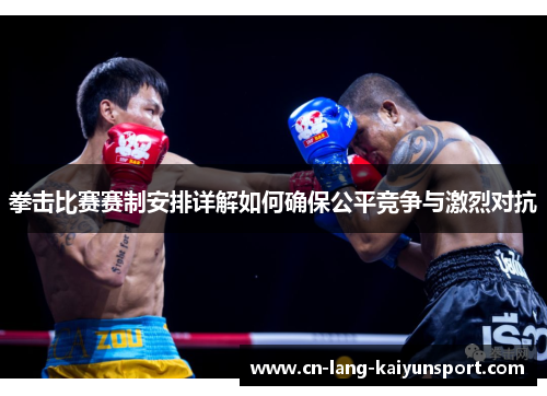 拳击比赛赛制安排详解如何确保公平竞争与激烈对抗